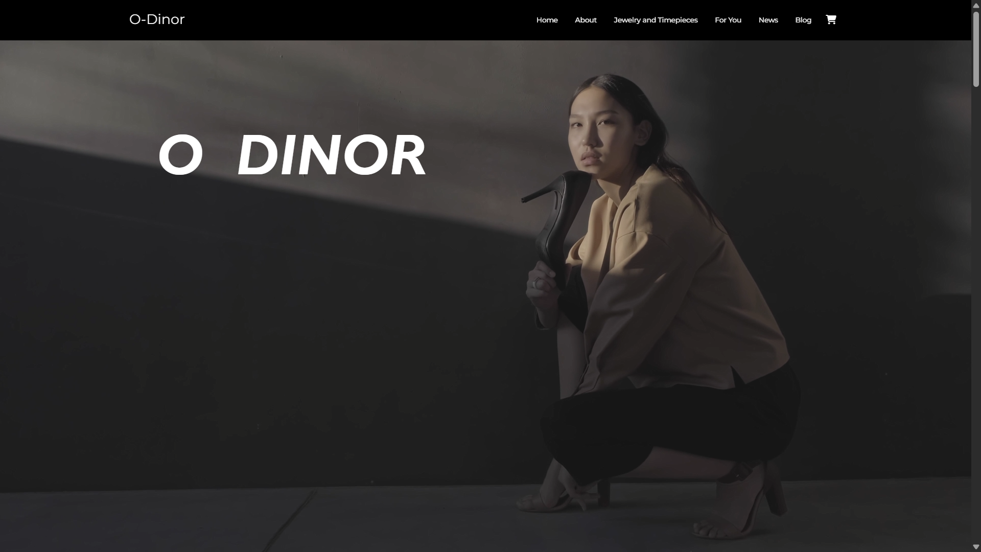 O-DINOR Clothing E-Commerce Website gallery image 1